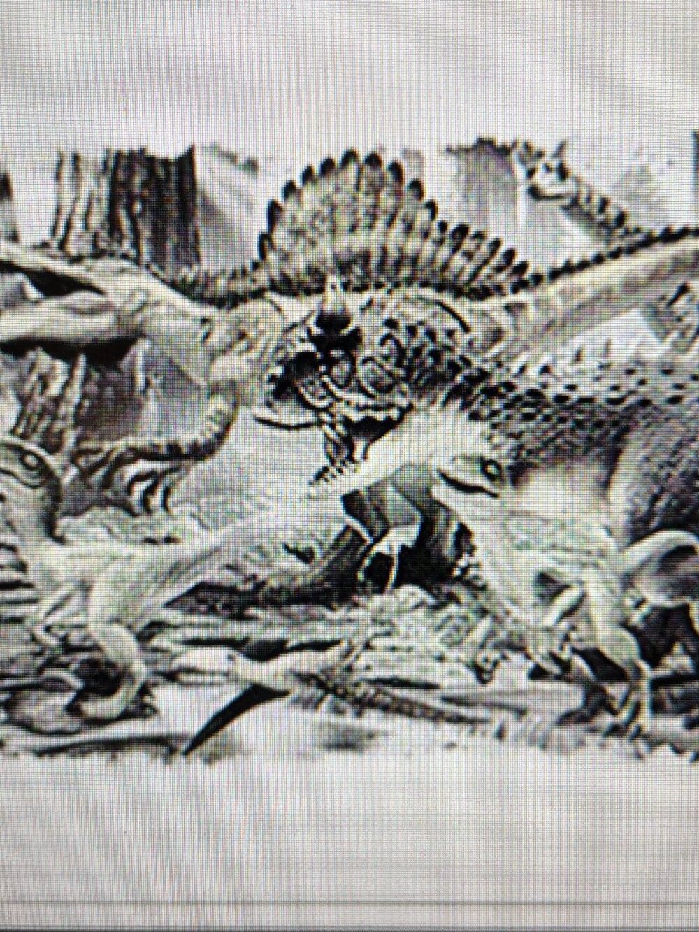 Solar Carnotaurus Shirt